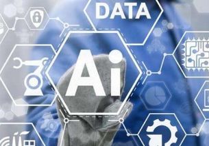 人工智能時代的隱私危機(jī) 基礎(chǔ)軟件開發(fā)的挑戰(zhàn)與應(yīng)對之道