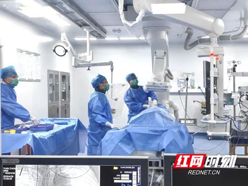 汝城縣人民醫(yī)院獲評(píng)心血管疾病防治技術(shù)牽頭單位，引領(lǐng)區(qū)域健康服務(wù)新篇章