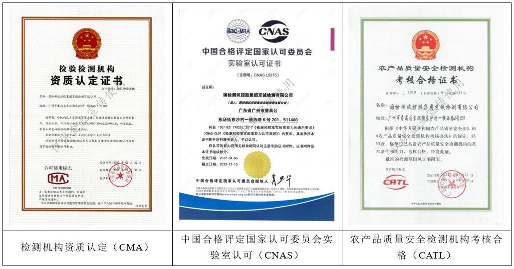 中國(guó)國(guó)檢測(cè)試控股集團(tuán) 引領(lǐng)環(huán)保技術(shù)咨詢(xún)與服務(wù)的卓越獲證單位